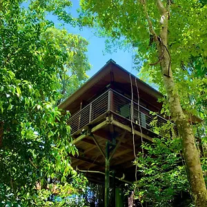 Rainforest Retreat Resort